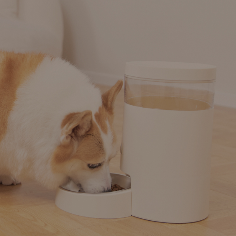 Pet Feeding Solutions